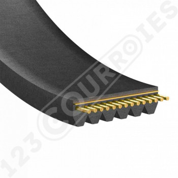 Courroie poly-v 6PJ889
